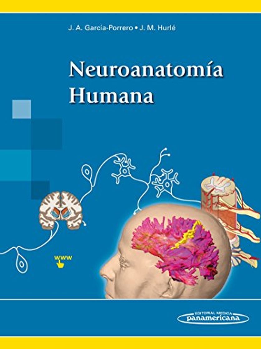 Libro Neuroanatomía Humana