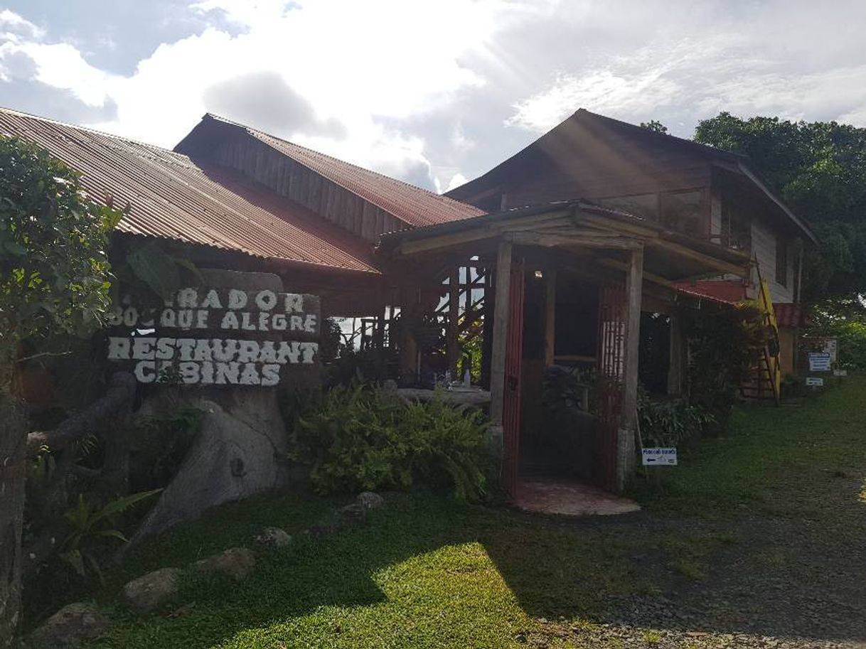 Restaurantes Restaurante Mirador Bosque Alegre