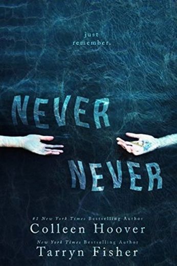 Never, never - Colleen Hoover,Tarryn Fisher 