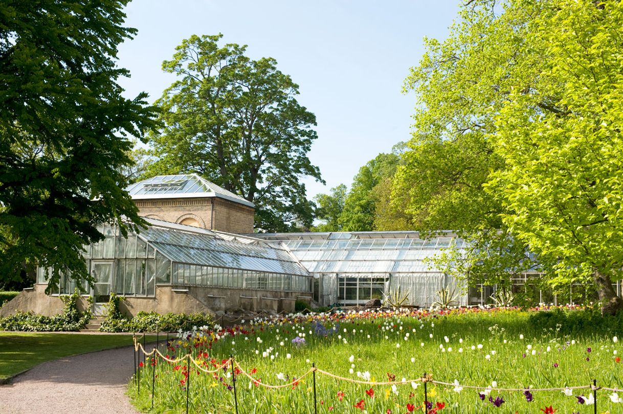 Lugar Botaniska trädgården