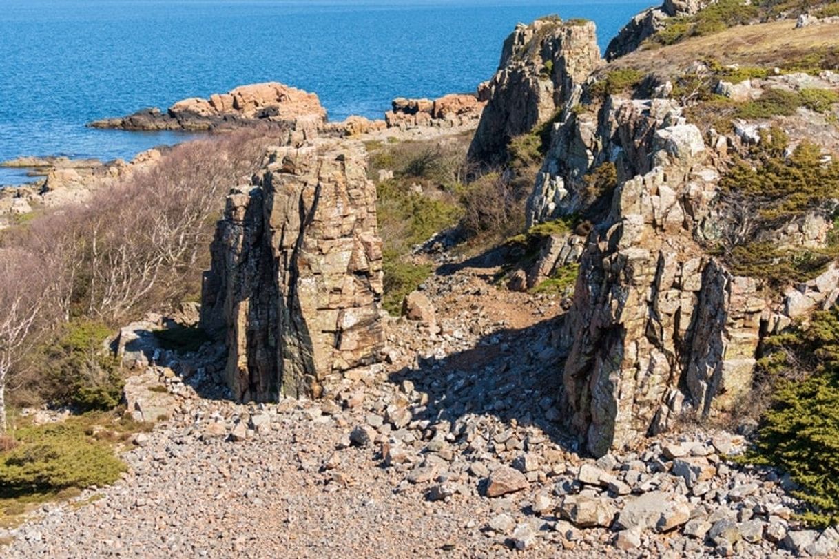 Lugar Hovs Hallar Naturreservat