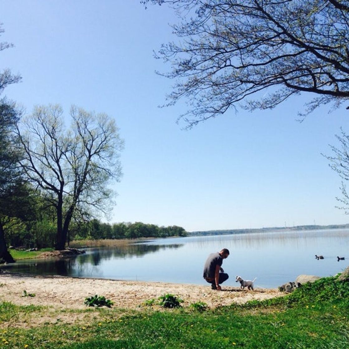 Lugar Hörby Ringsjöstrand