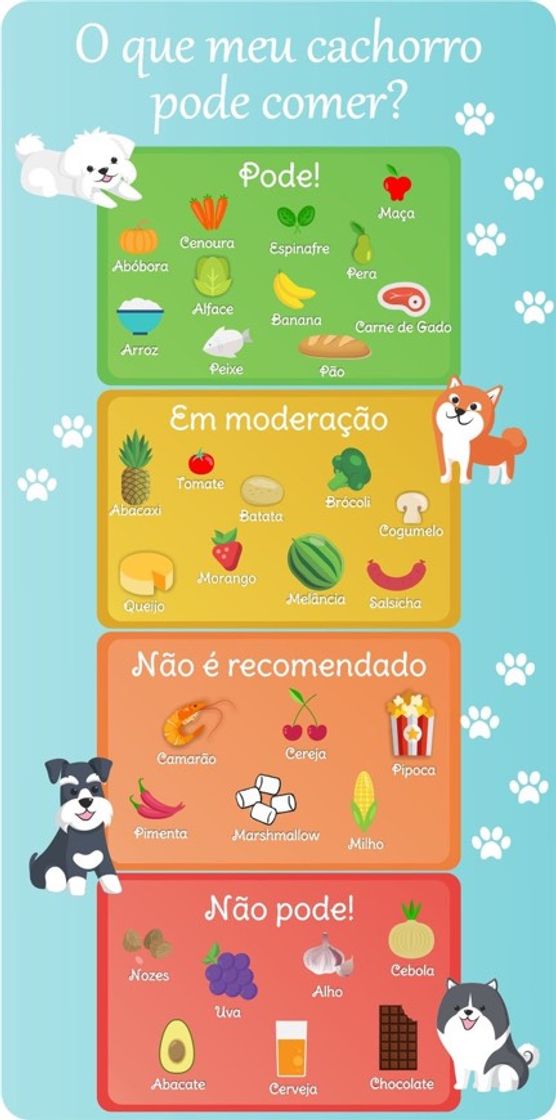 Moda Alimentos pra cachorro 