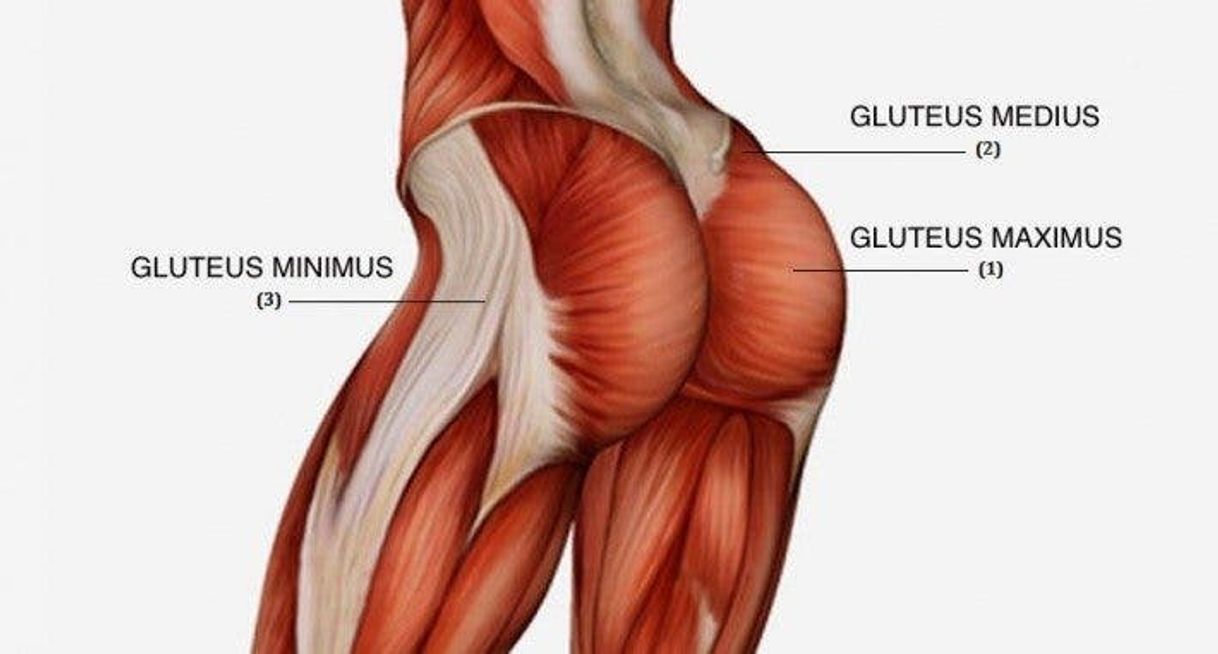 Social Tips/hábitos que te ayudan a aumentar glúteos💫🍑