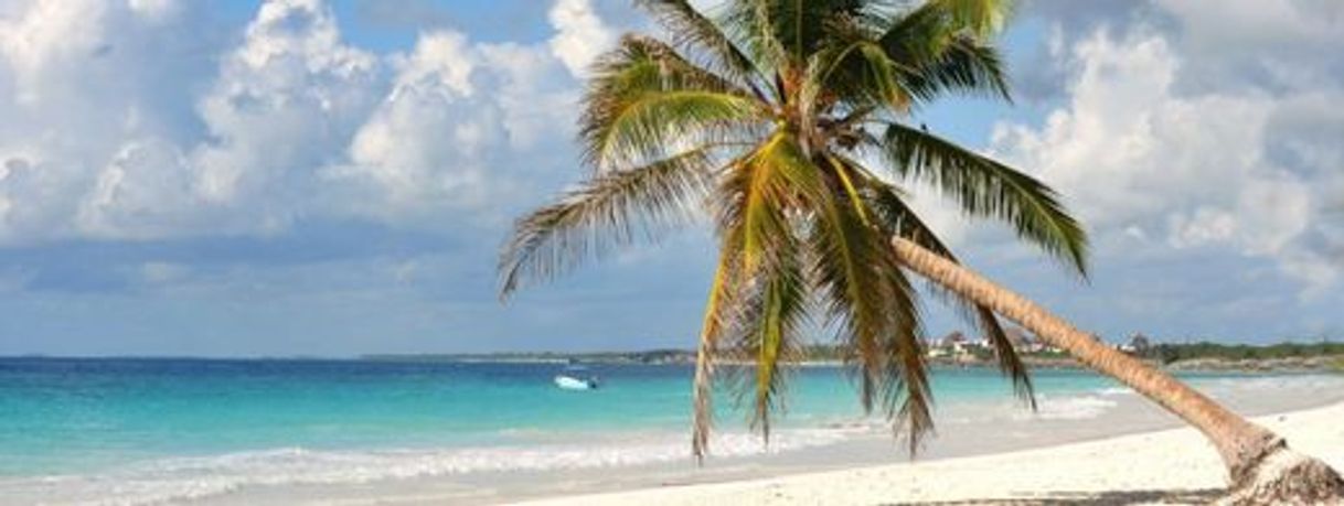 Lugar Playa Paraiso