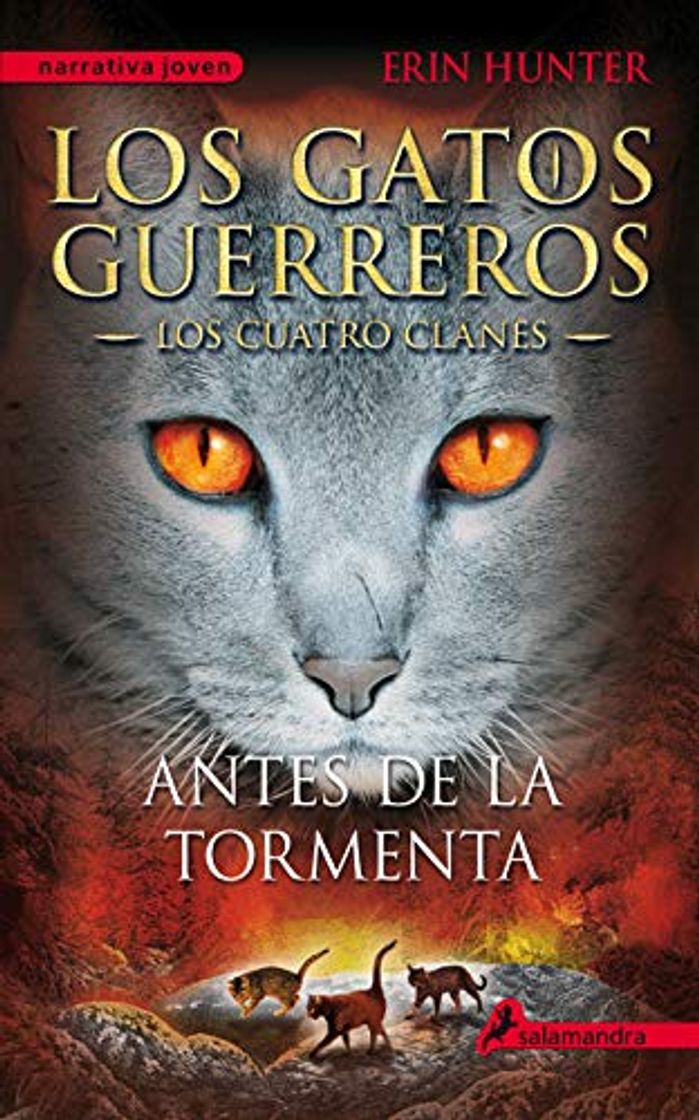 Libro Antes de la tormenta: Los gatos guerreros - Los cuatro clanes IV