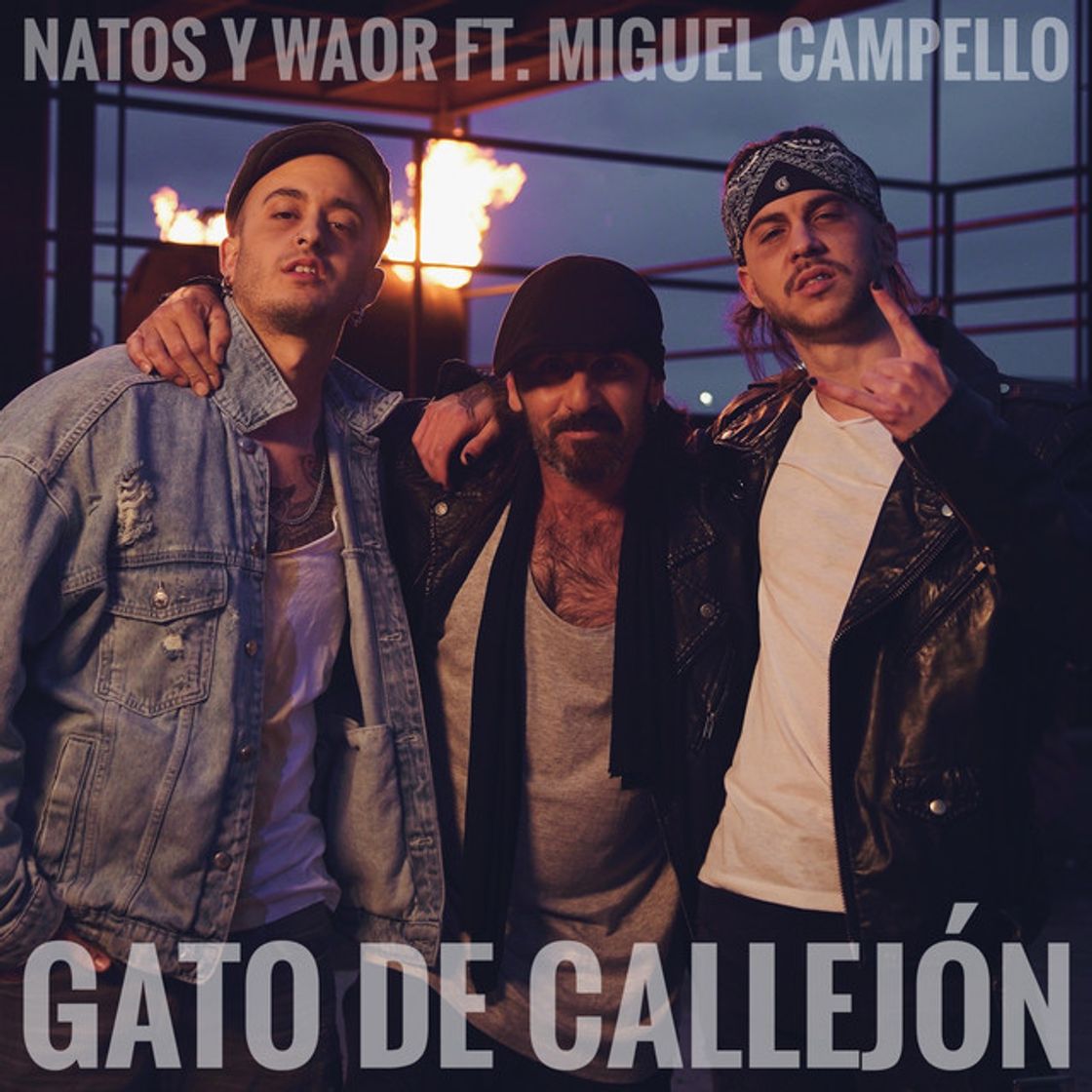 Canción Gato de callejón - Natos y Waor ft Miguel Campello 