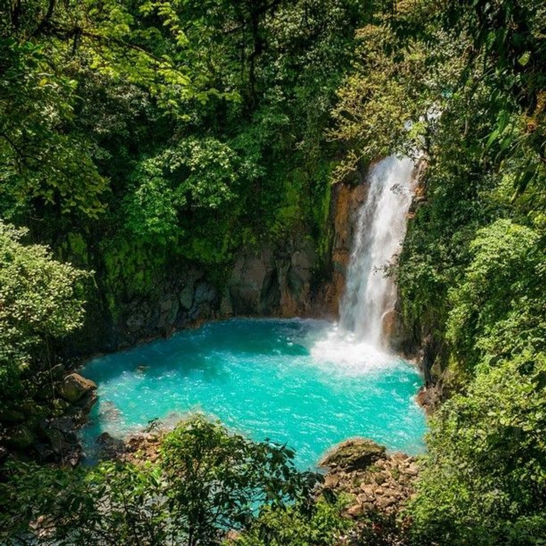 Lugar Río Celeste