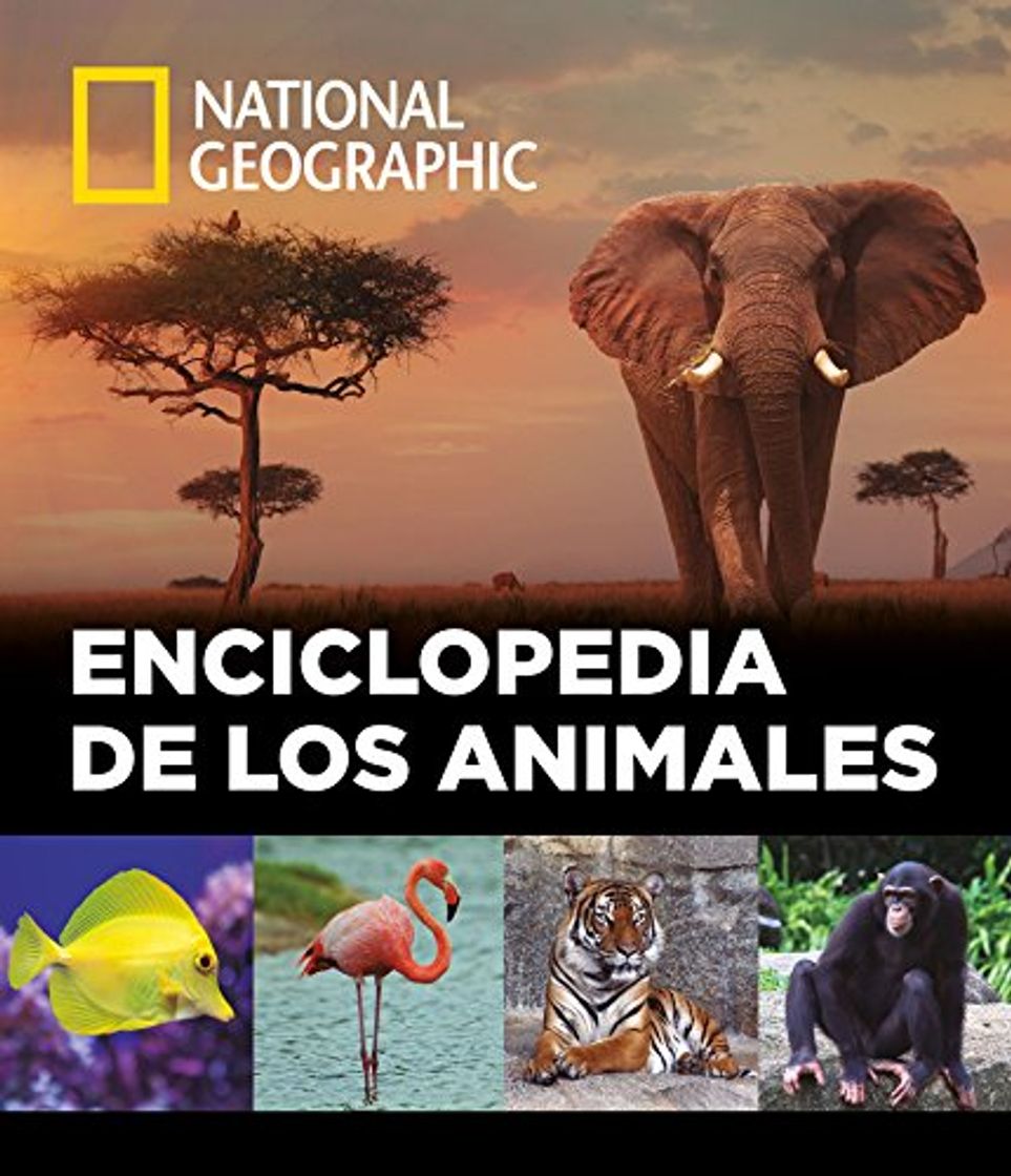 Fashion Enciclopedia de los animales