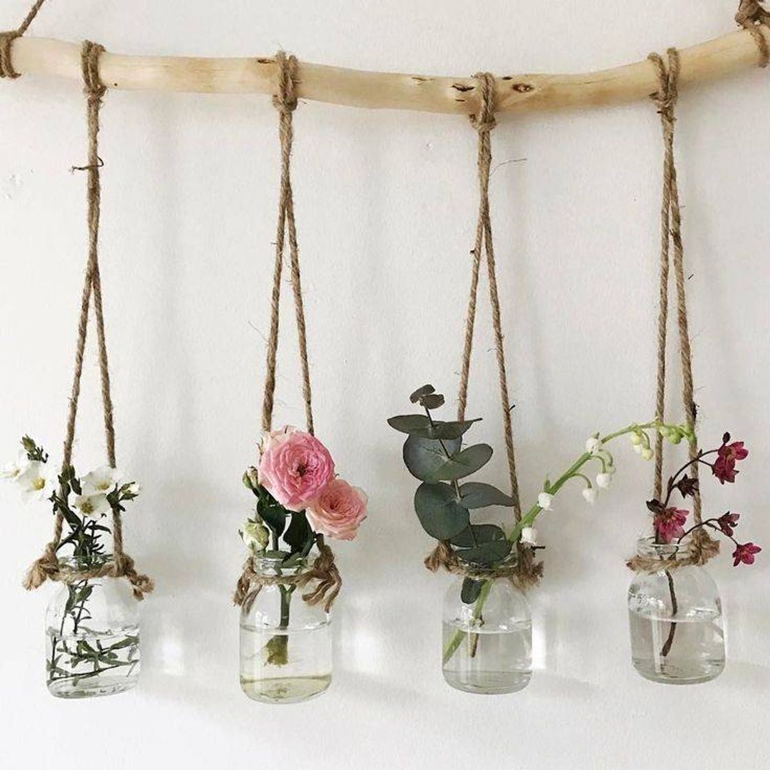 Moda DECORAÇÃO PLANTINHAS.🌱💚