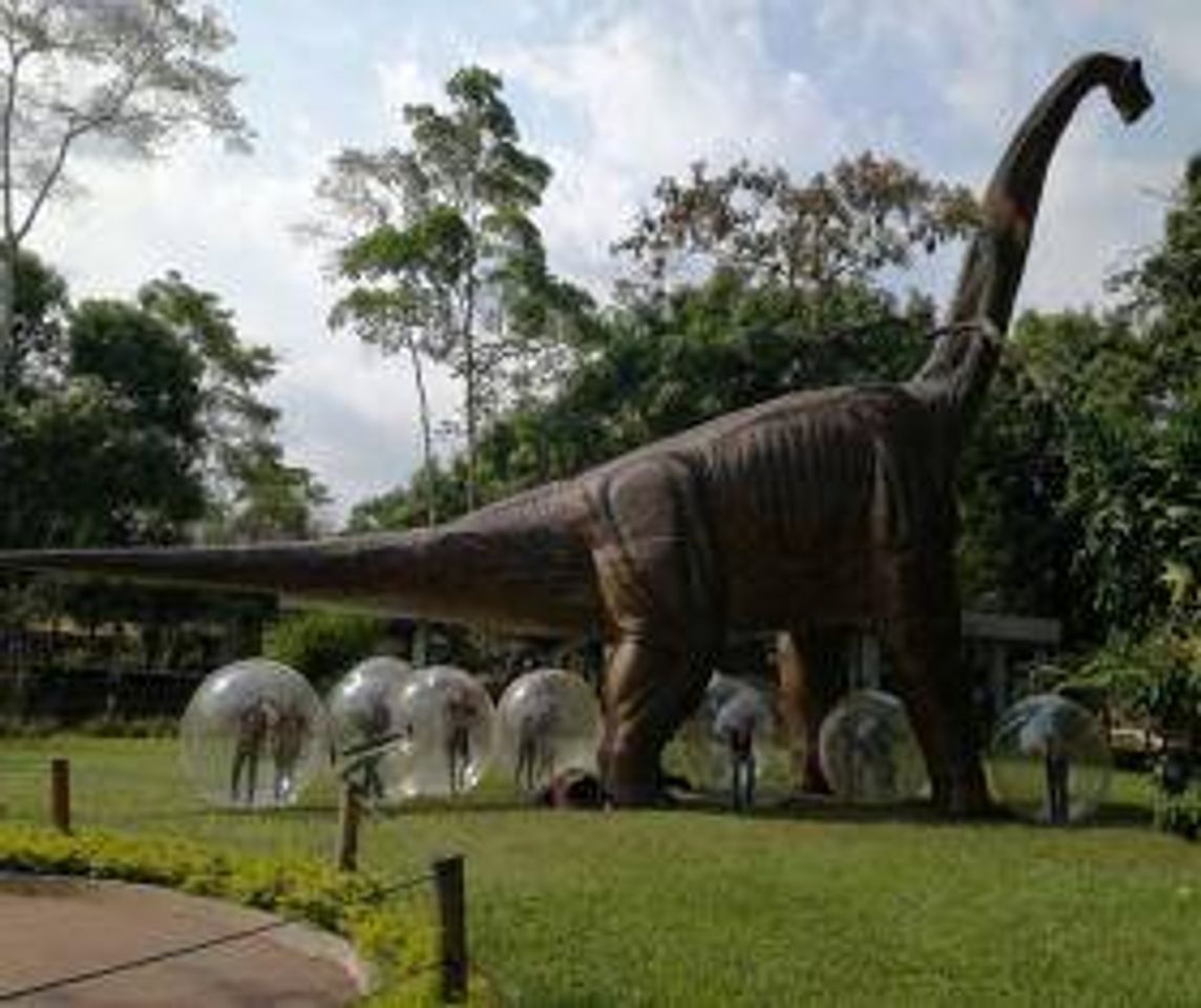 Place Dino Park