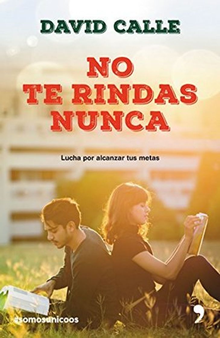 Libro No te rindas nunca - David Calle