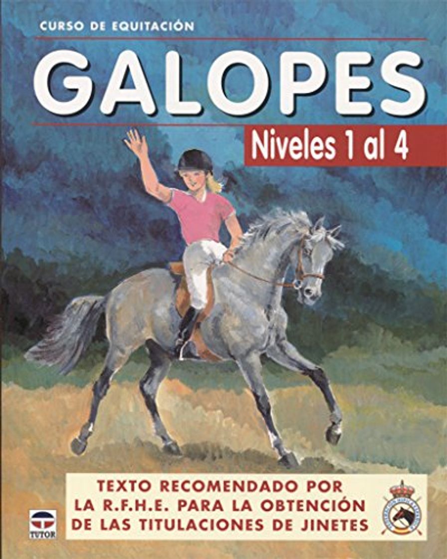 Book GALOPES NIVELES DEL 1 AL 4