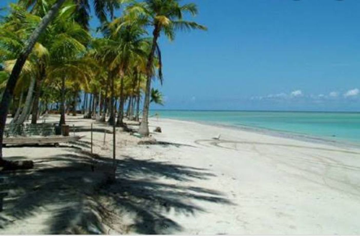 Place Barra Grande