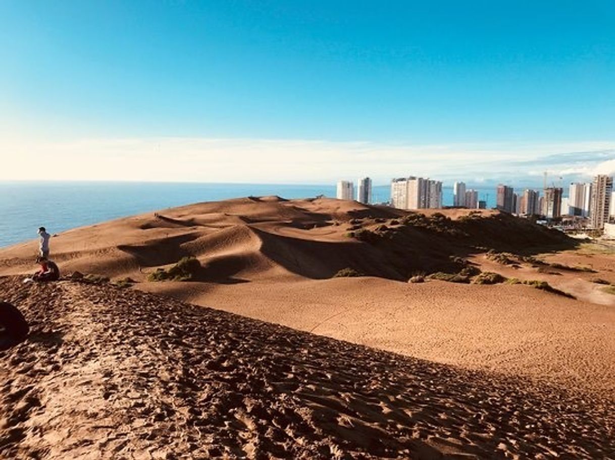 Place Dunas De Concón