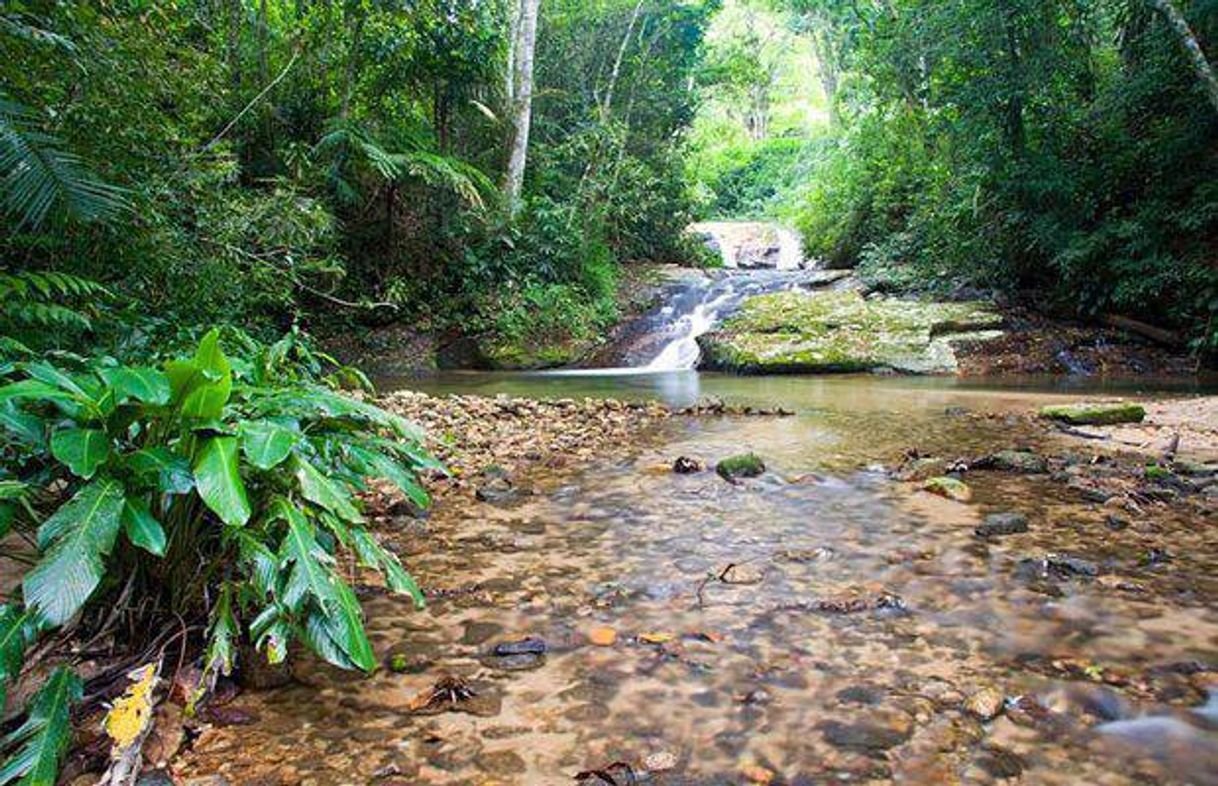 Place Floresta da Tijuca