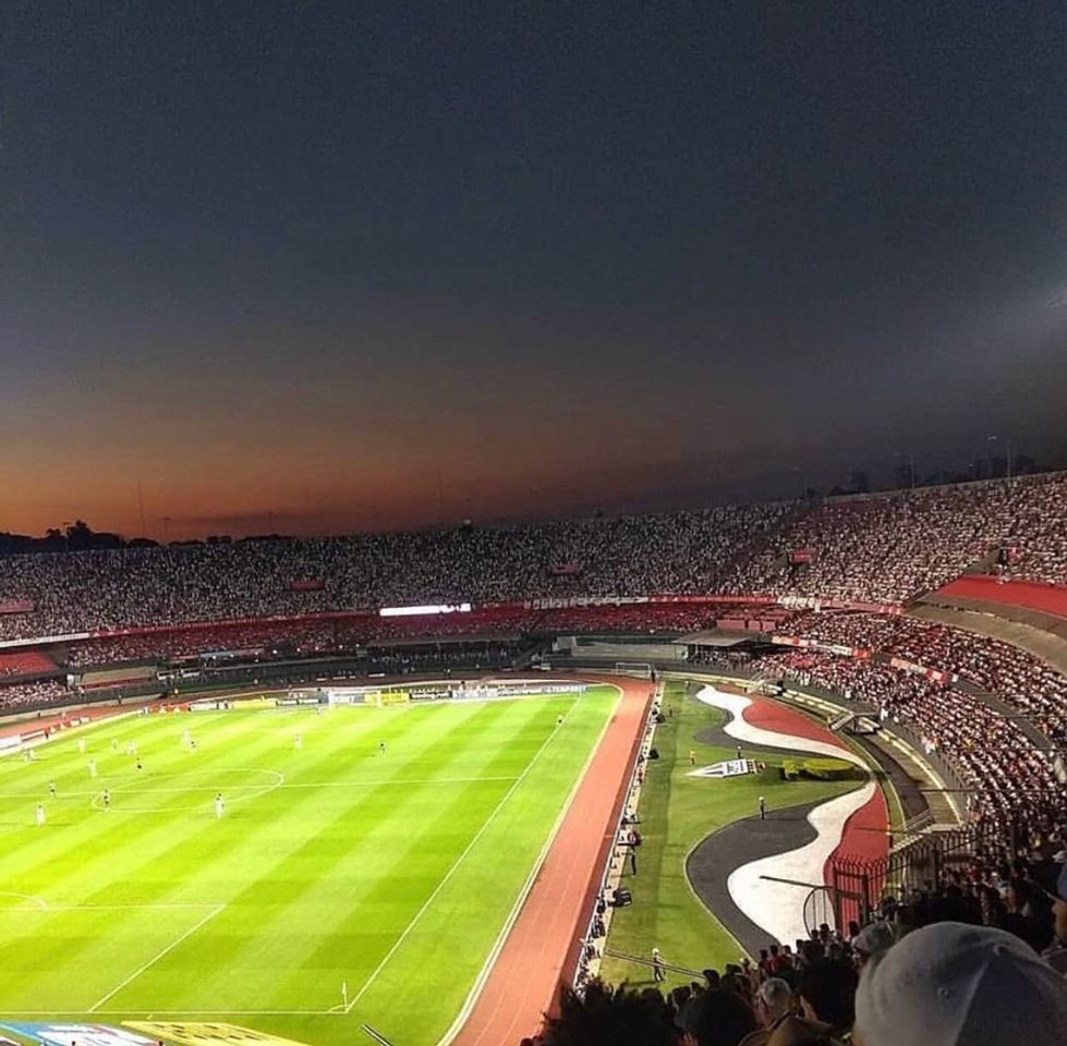 Lugar Estadio Morumbi