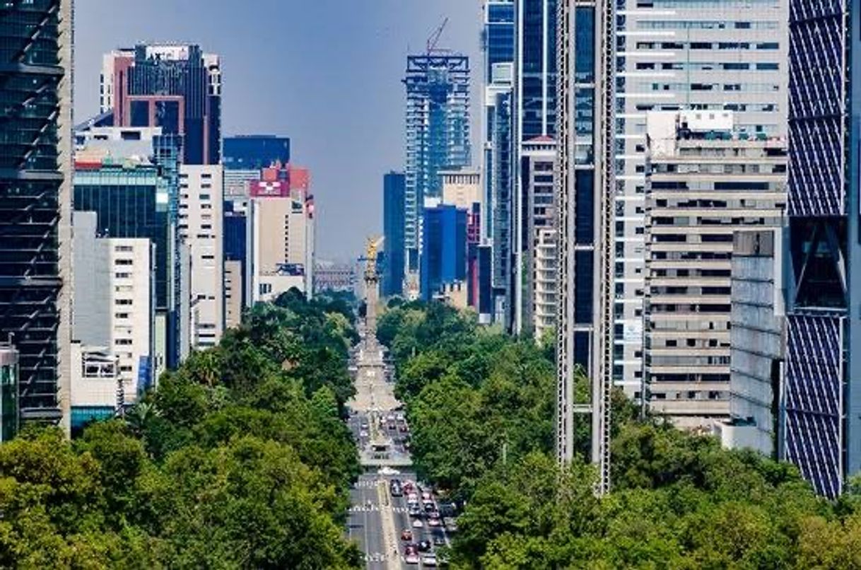 Lugar Avenida Paseo de la Reforma