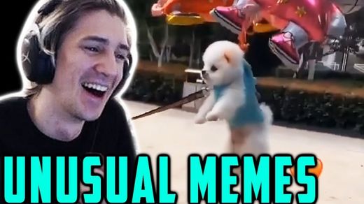 xQc Reacts to UNUSUAL MEMES COMPILATION V92 and Daily ...