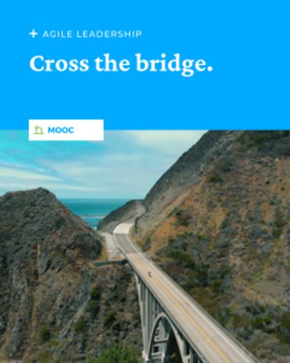 MOOC - Agile Leadership 
