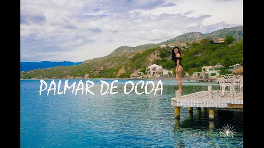 Playa Palmar de Ocoa