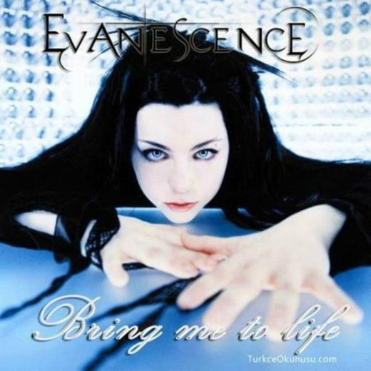 Evanecence - Bring me to life