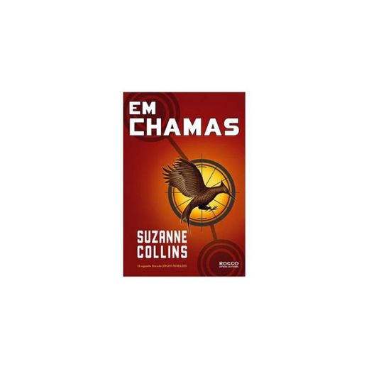 LIVRO-EM CHAMAS