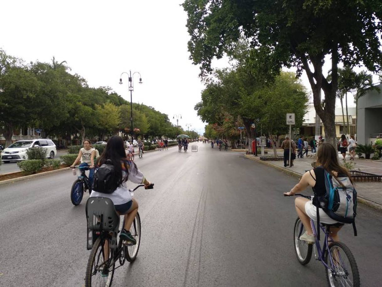 Place Paseo de Montejo