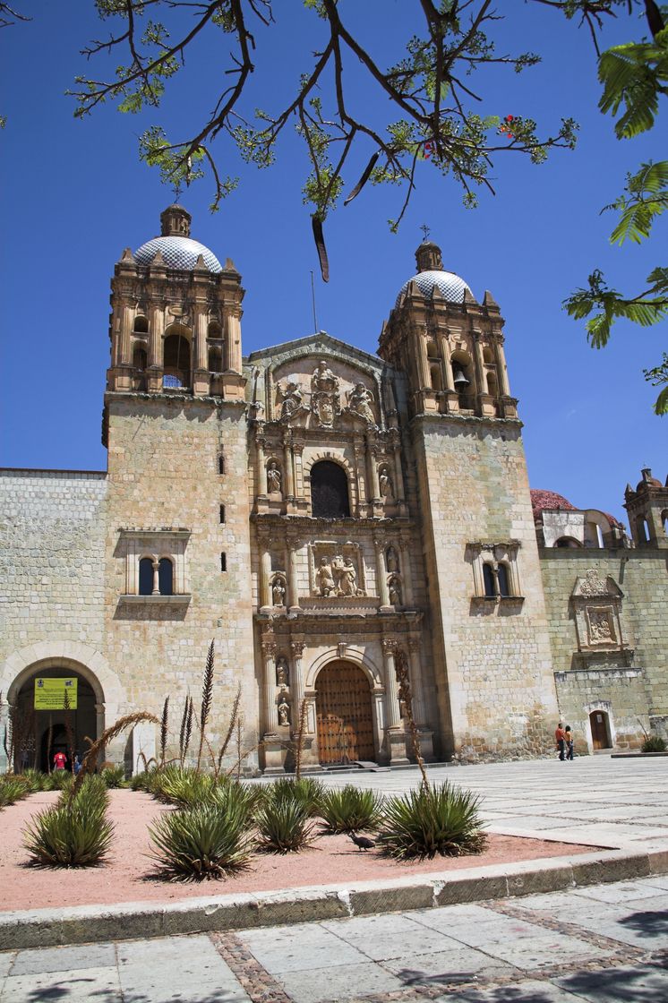 Lugar Museo de las Culturas de Oaxaca, Santo Domingo