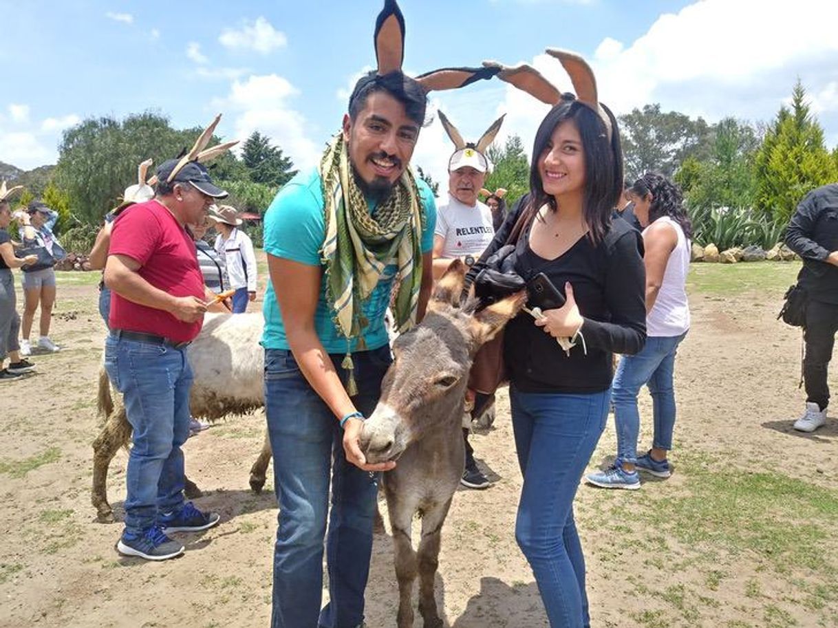 Lugar Burrolandia México