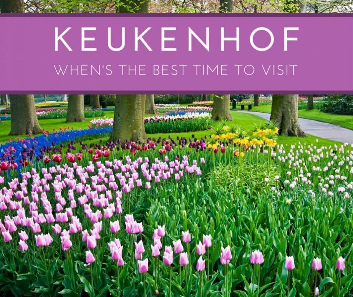 Lugar Keukenhof