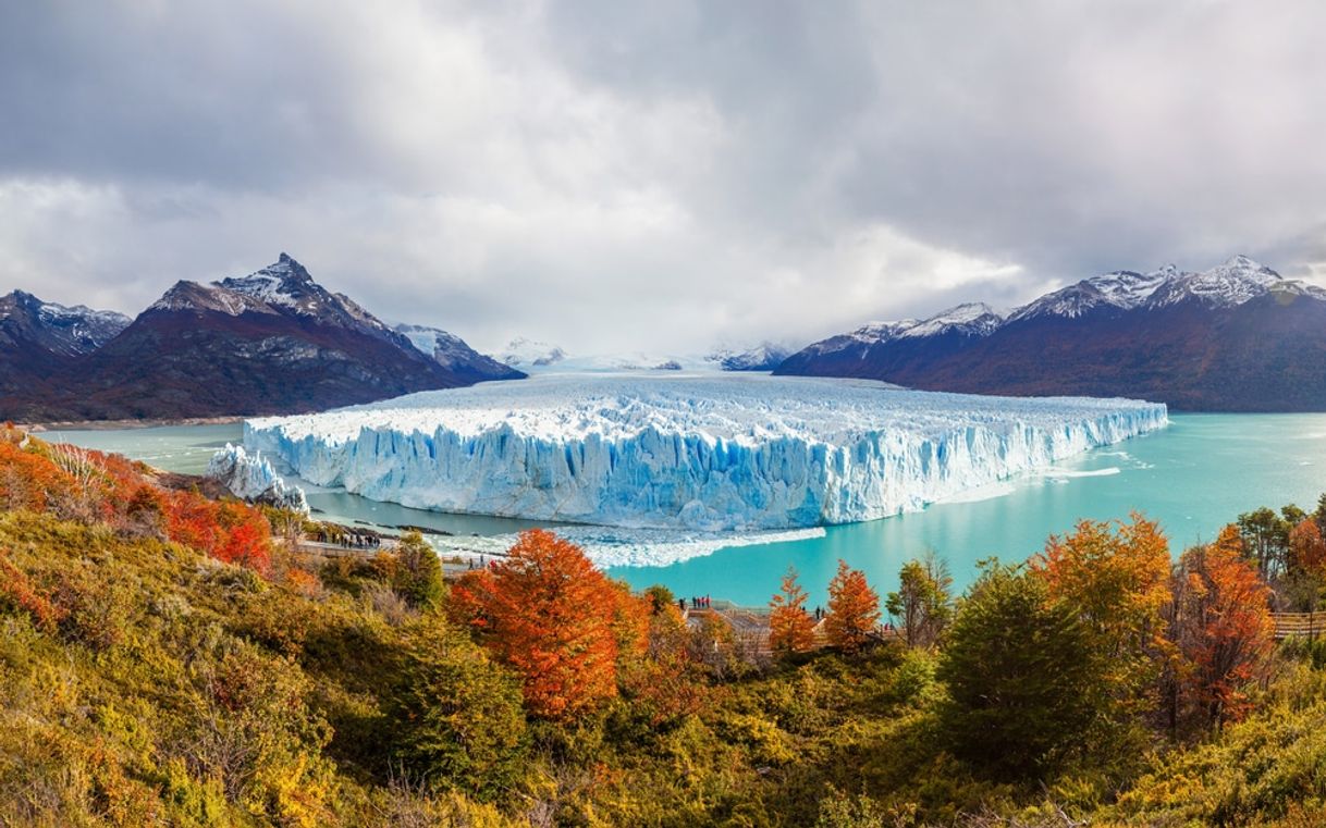 Lugar El Calafate