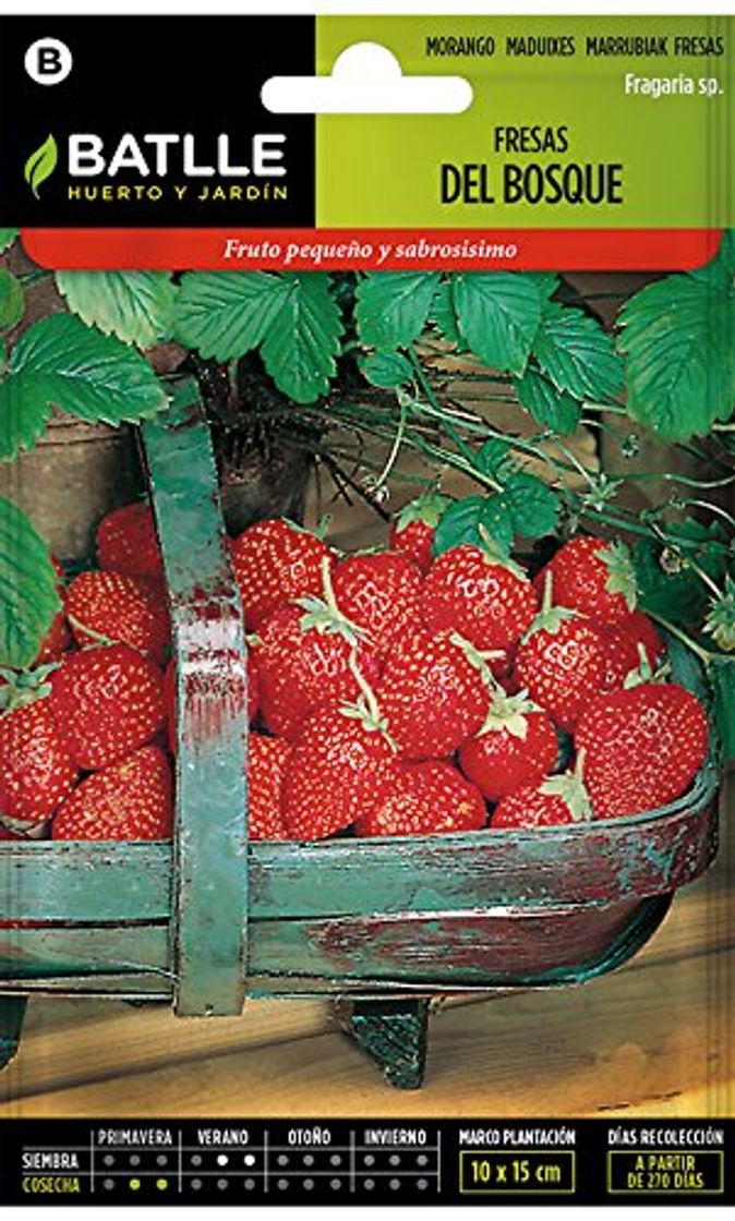 Social Semillas Hortícolas