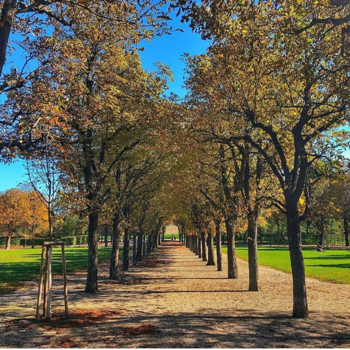 Lugares Augarten