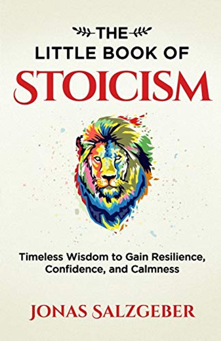 Libros The Little Book of Stoicism: Timeless Wisdom to Gain Resilience, Confidence, and Calmness