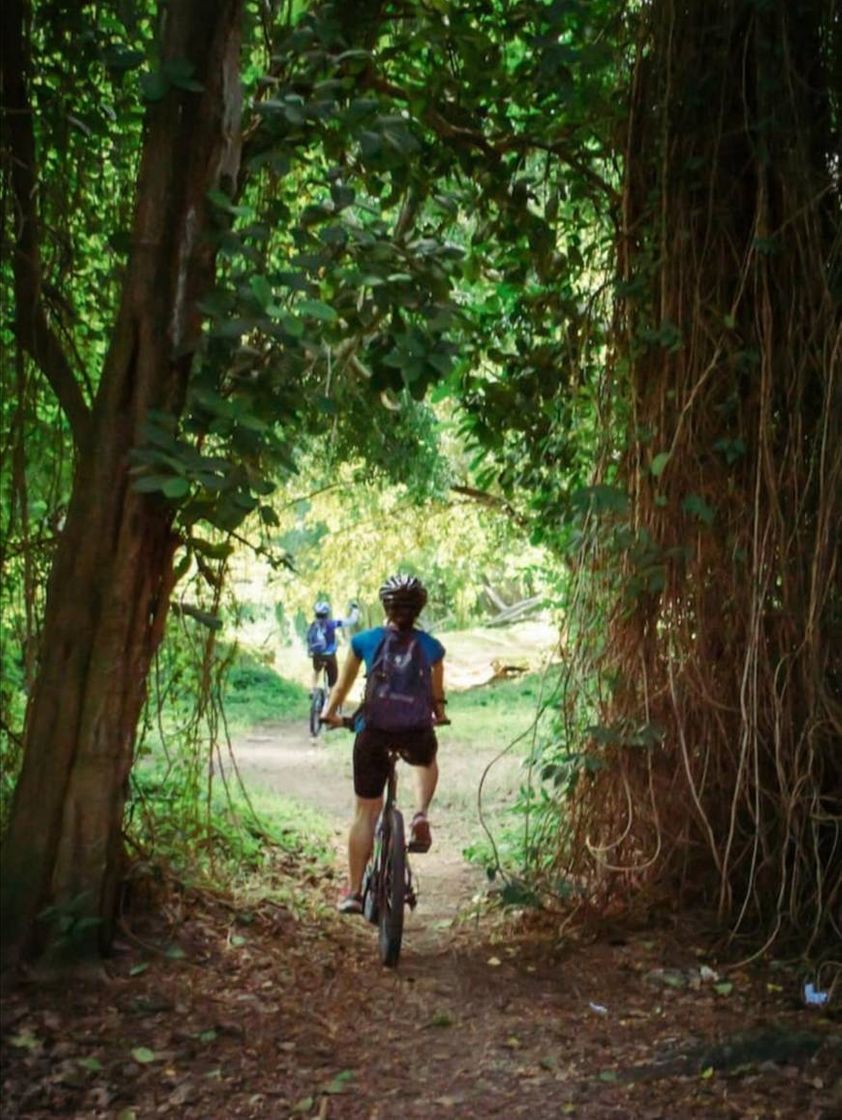 Place En Bici por La Habana con guías