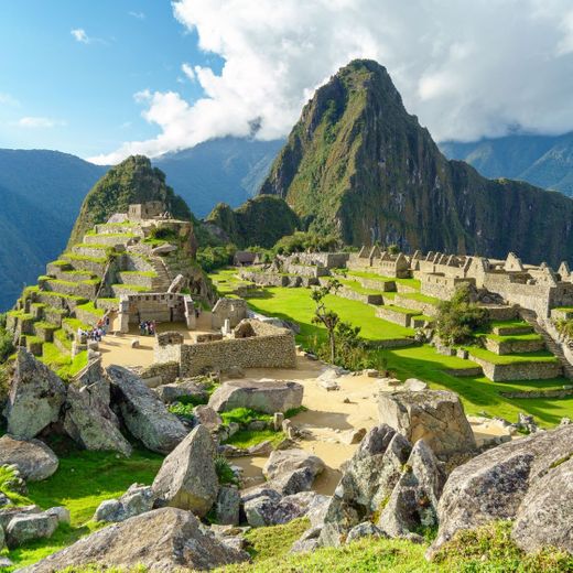 Machu Picchu