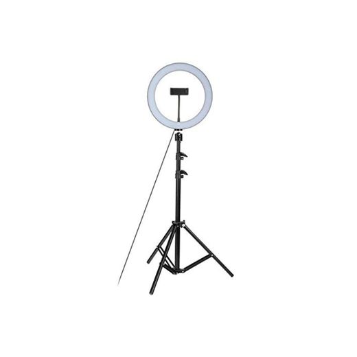 Jinxuny 26 cm Studio Live LED Anillo de luz con Soporte para teléfono Antideslizante 120 cm Plegable trípode Kit Ajustable 360 ​​Rotación para teléfono Selfie Light fotografía de Belleza