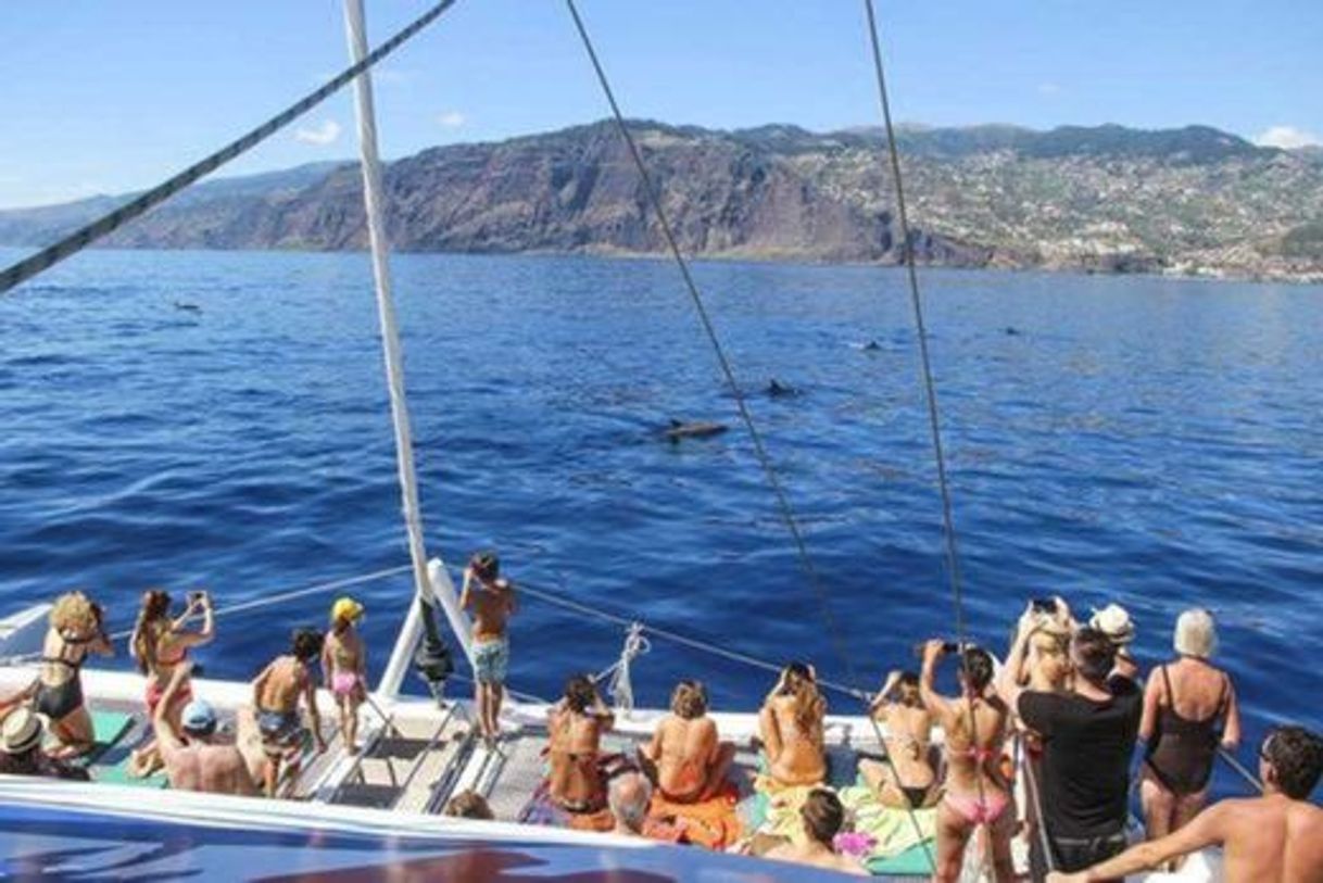 Place VMT Madeira - Catamaran Trips