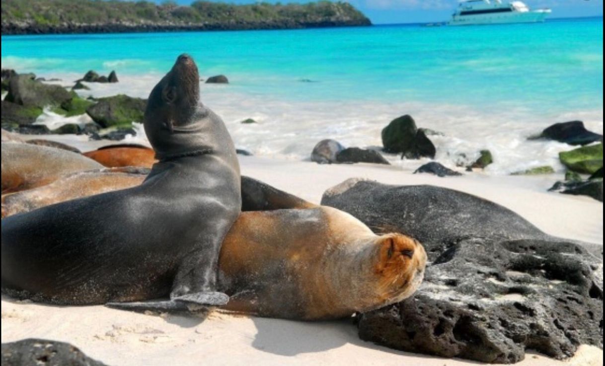 Lugar Galapagos