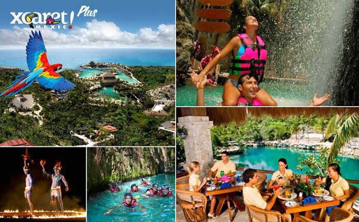 Place XCARET