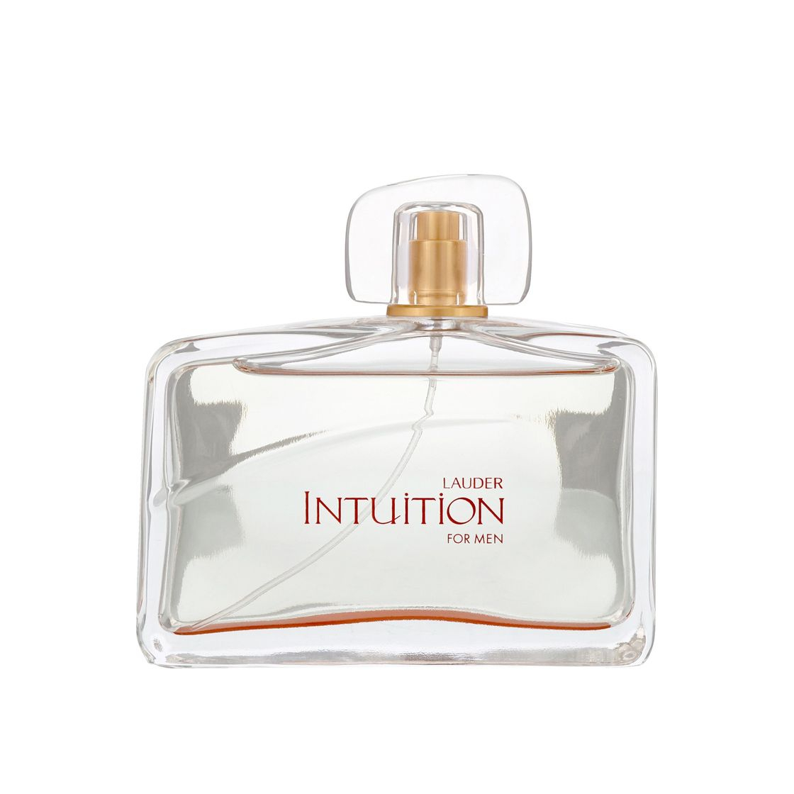 Social Intuition Lauder