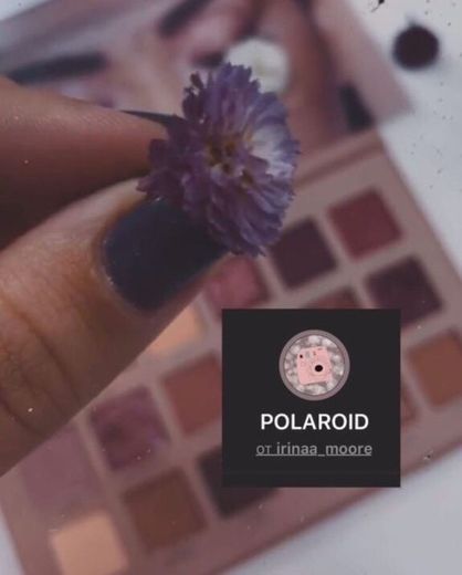 Filtro Polaroid 🌸