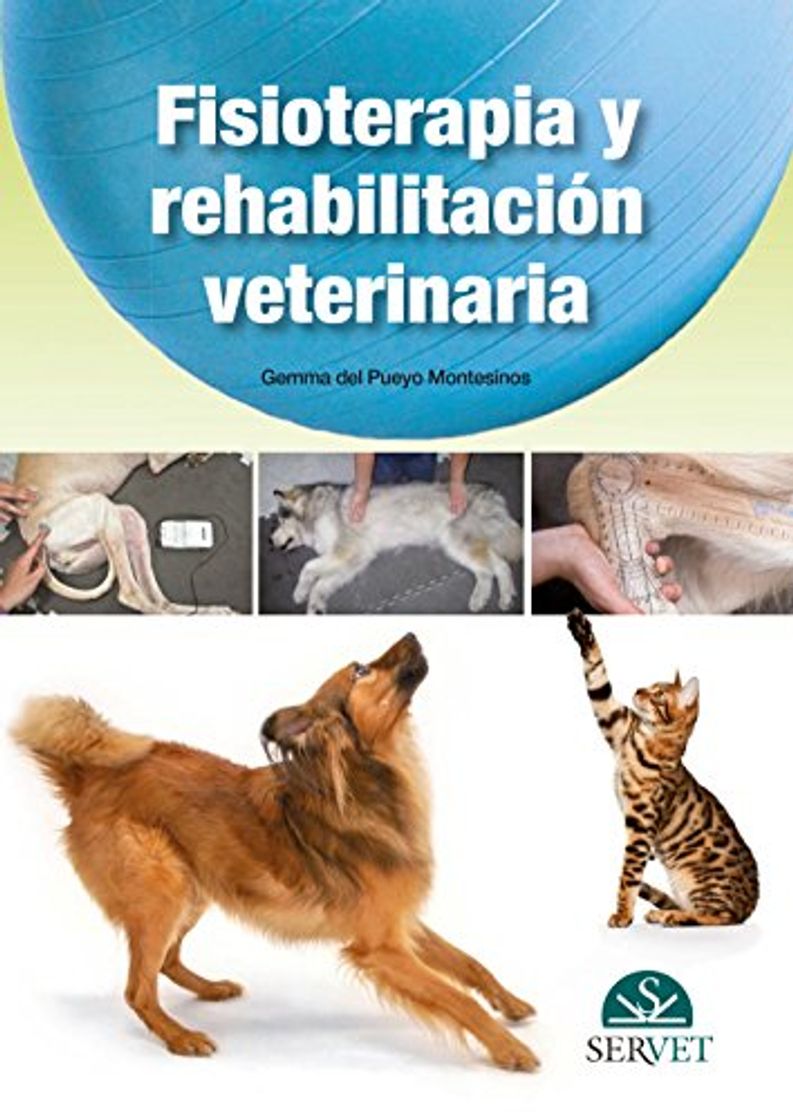 Book Fisioterapia y rehabilitación veterinaria