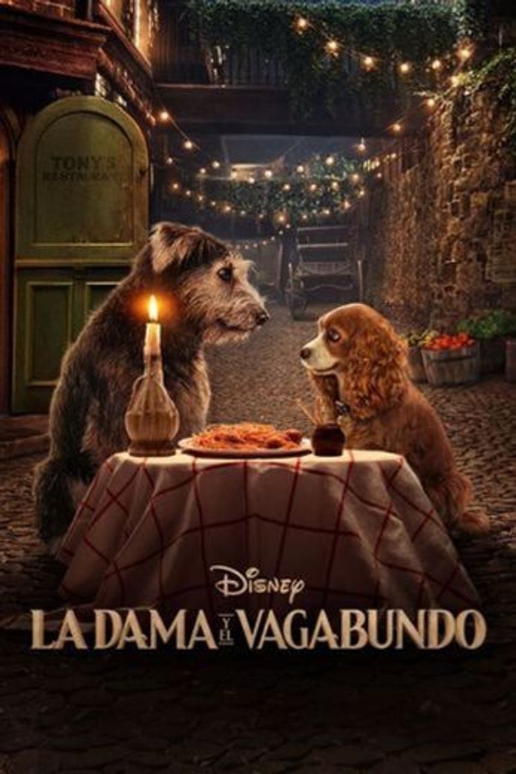 Película La dama y el vagabundo