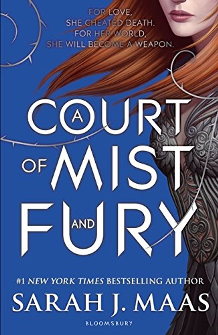 Book A Court Of Mist And Fury