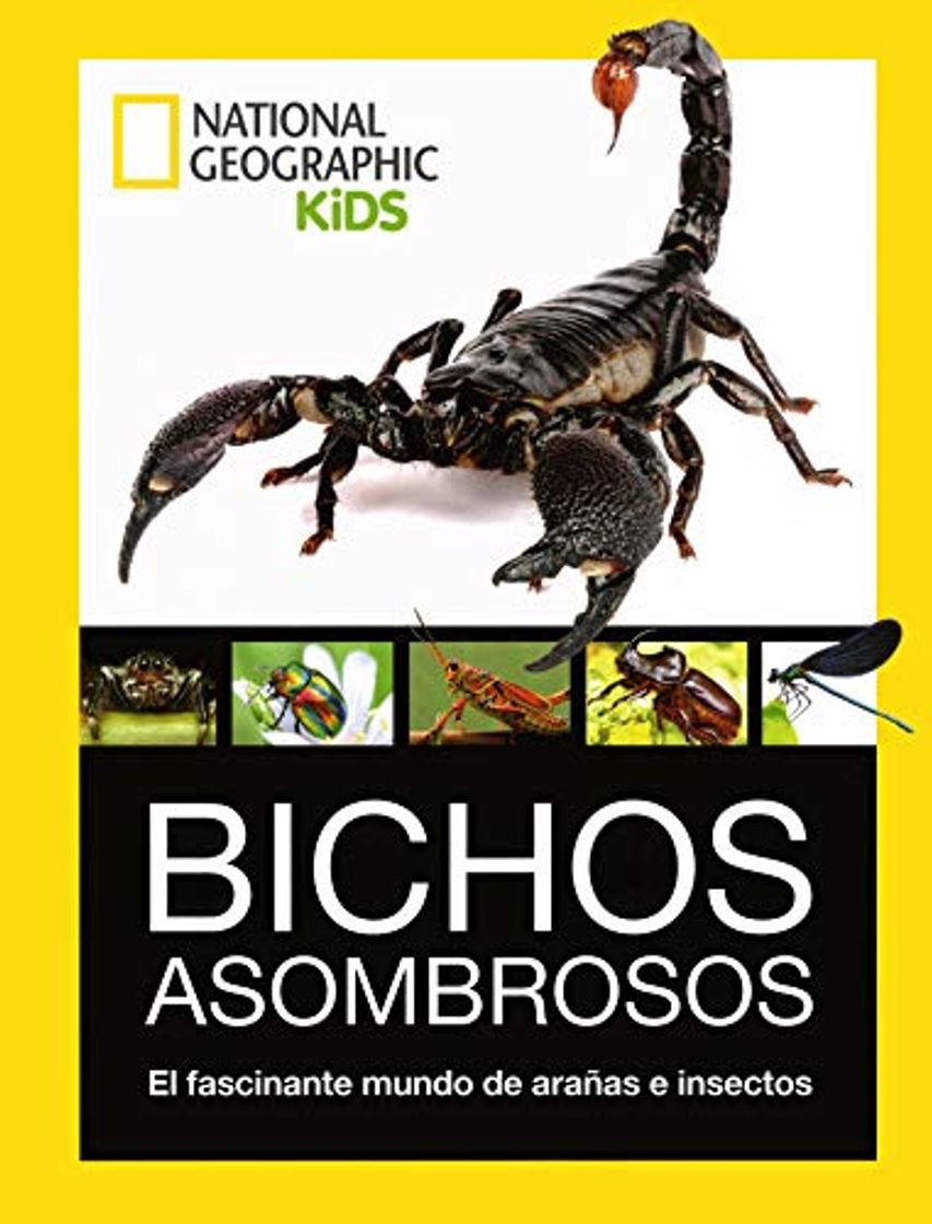 Libro Bichos Asombrosos. El fascinante mundo de arañas e insectos.