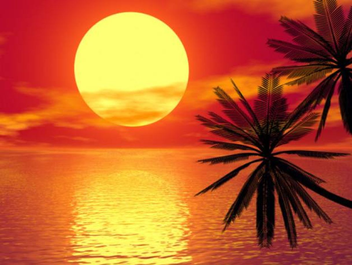 Social 𝒫ℴ𝓇 𝒹ℴ 𝓈ℴ𝓁 🌞