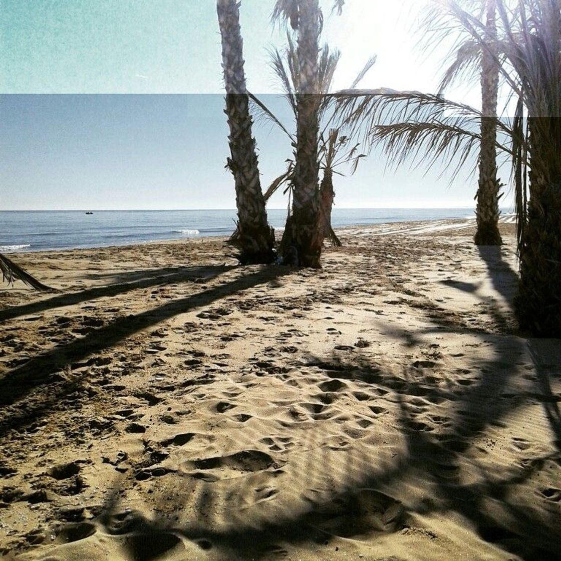 Lugares Playa Libre de El Altet