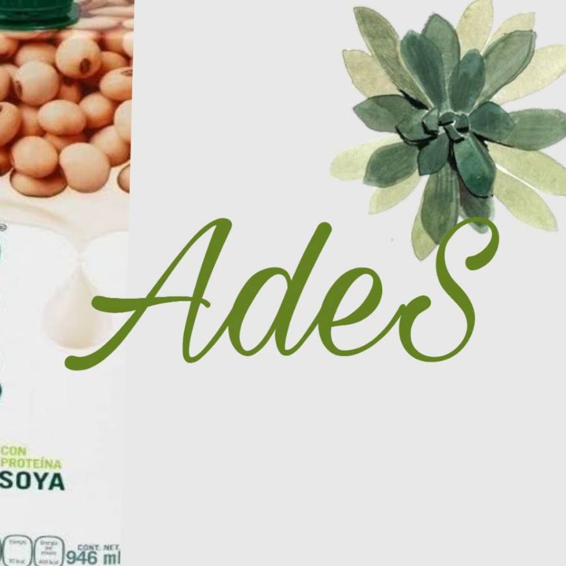 Producto AdeS - Almendra de Leyenda con vitamina B12 y calcio